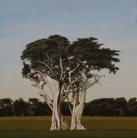 Cypress No. 5 by Clay Wagstaff