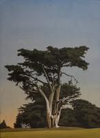 Cypress No. 6 by Clay Wagstaff