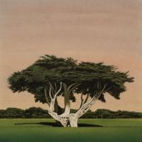 Cypress No. 7 (with Blackbird) by Clay Wagstaff